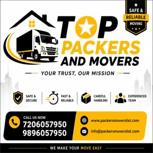 top packers and movers
